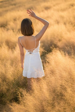 邻家美姨全集免费