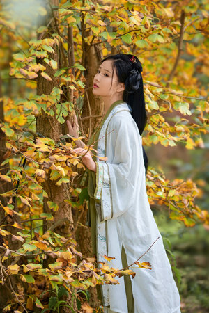 永久刷黄钻网站免费