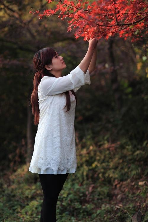 明星大侦探第四季免费